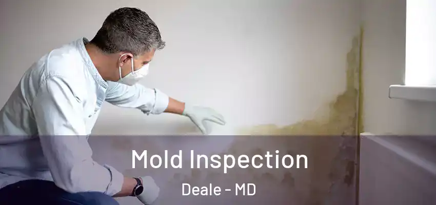 Mold Inspection Deale - MD
