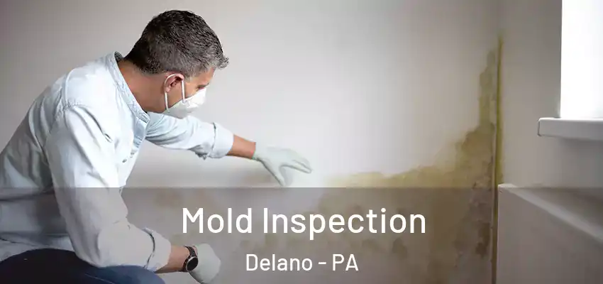  Mold Inspection Delano - PA