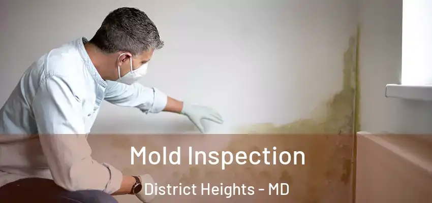Mold Inspection District Heights - MD