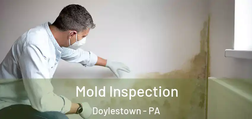 Mold Inspection Doylestown - PA