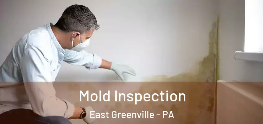 Mold Inspection East Greenville - PA
