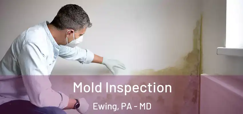 Mold Inspection Ewing, PA - MD