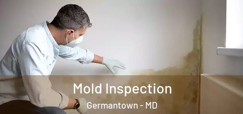 Mold Inspection Germantown - MD