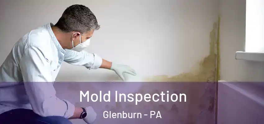  Mold Inspection Glenburn - PA