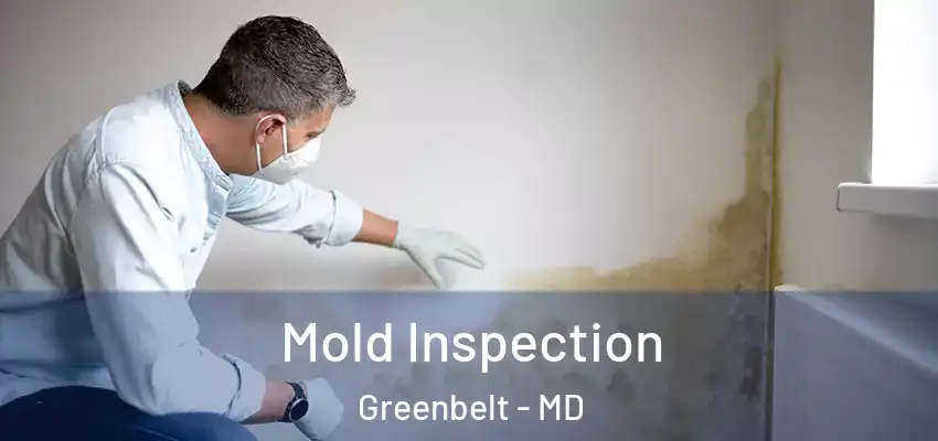  Mold Inspection Greenbelt - MD