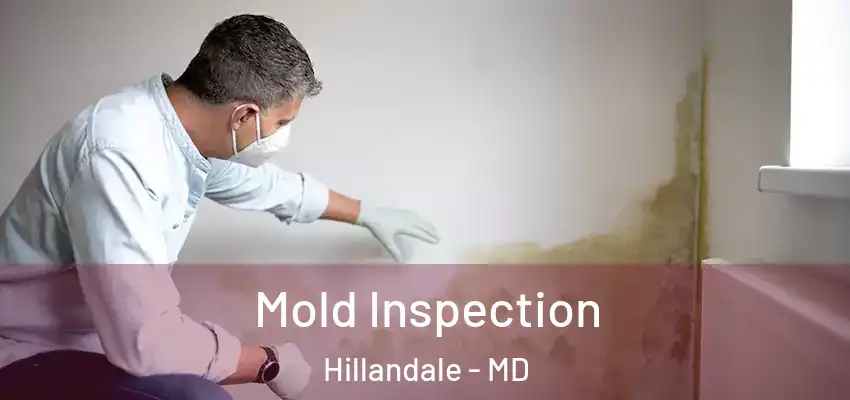 Mold Inspection Hillandale - MD