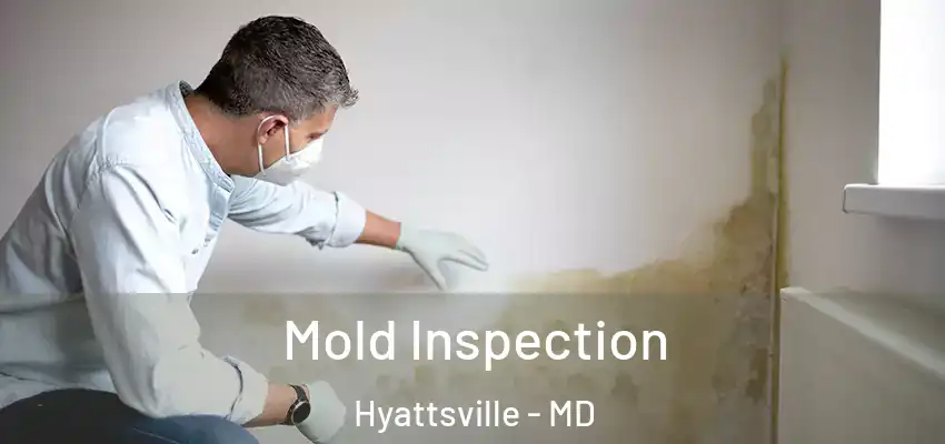  Mold Inspection Hyattsville - MD