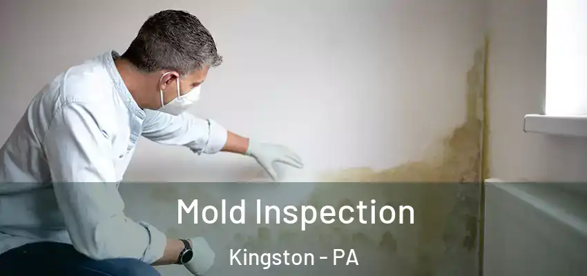 Mold Inspection Kingston - PA