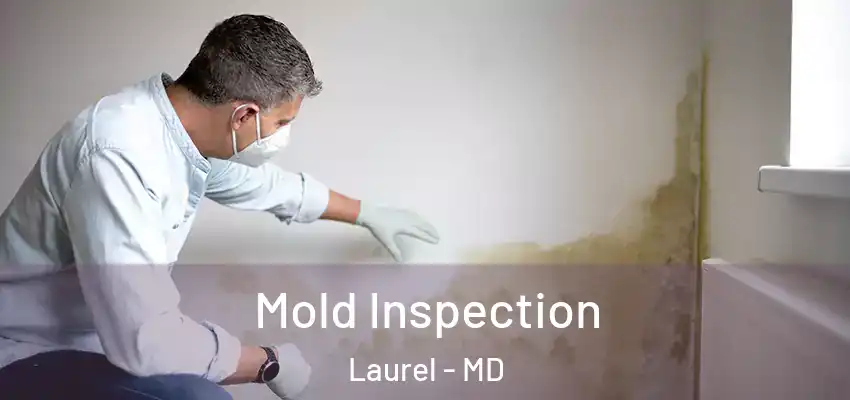 Mold Inspection Laurel - MD