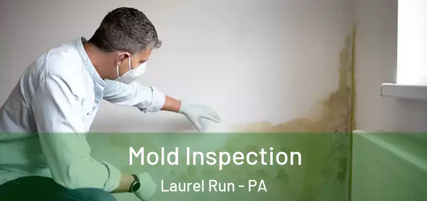 Mold Inspection Laurel Run - PA