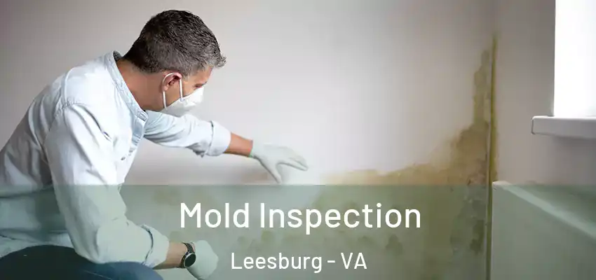 Mold Inspection Leesburg - VA