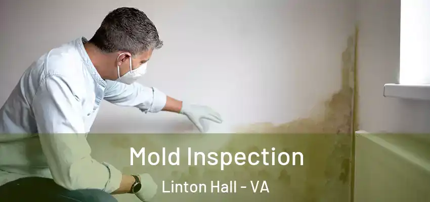  Mold Inspection Linton Hall - VA