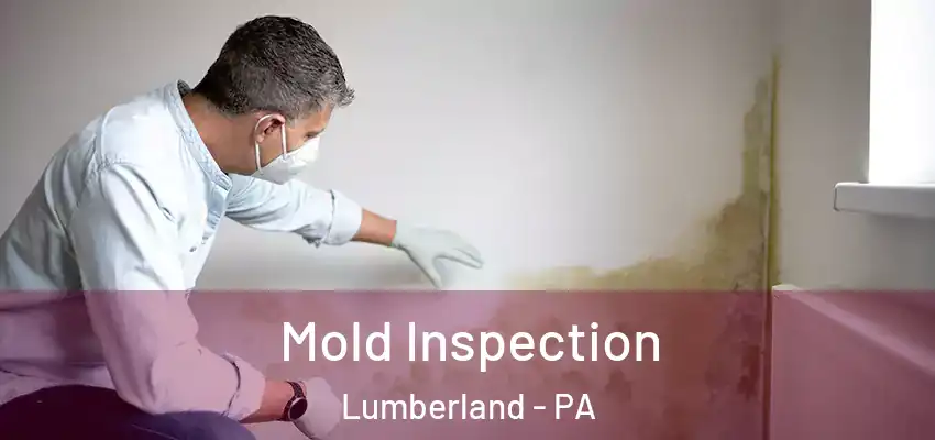  Mold Inspection Lumberland - PA