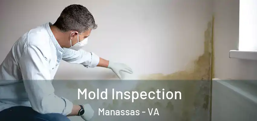 Mold Inspection Manassas - VA