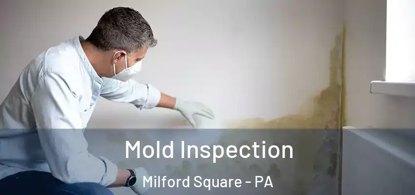 Mold Inspection Milford Square - PA