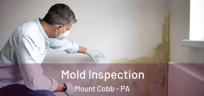 Mold Inspection Mount Cobb - PA