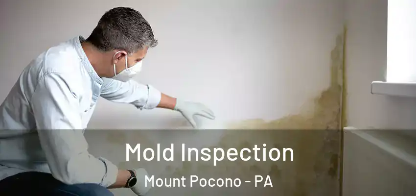  Mold Inspection Mount Pocono - PA