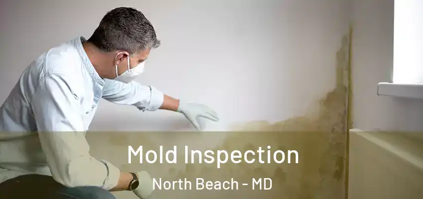  Mold Inspection North Beach - MD