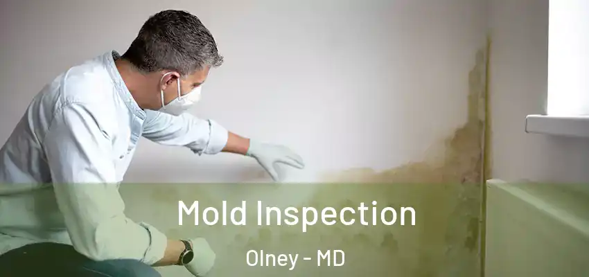 Mold Inspection Olney - MD