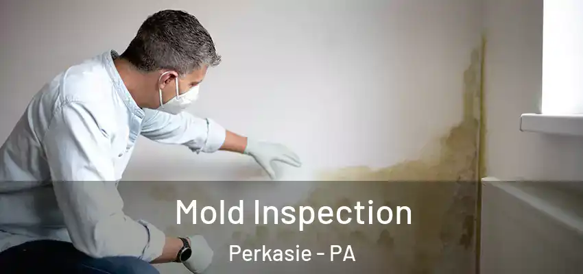 Mold Inspection Perkasie - PA