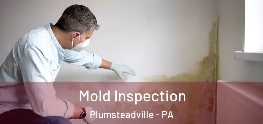 Mold Inspection Plumsteadville - PA