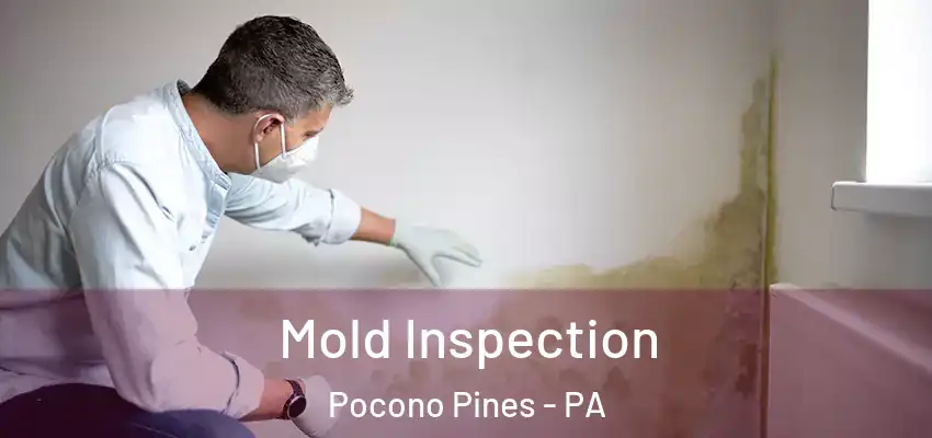 Mold Inspection Pocono Pines - PA