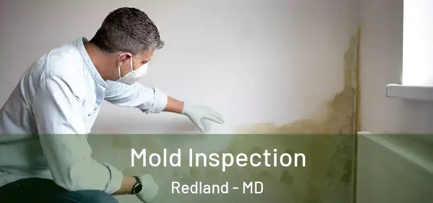 Mold Inspection Redland - MD