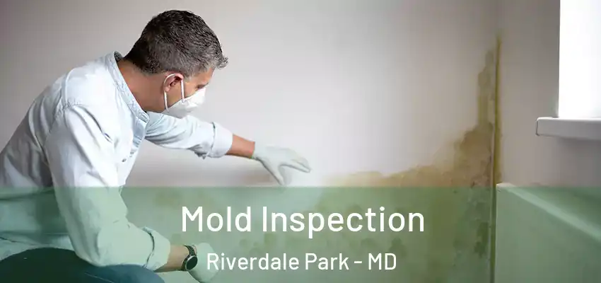 Mold Inspection Riverdale Park - MD