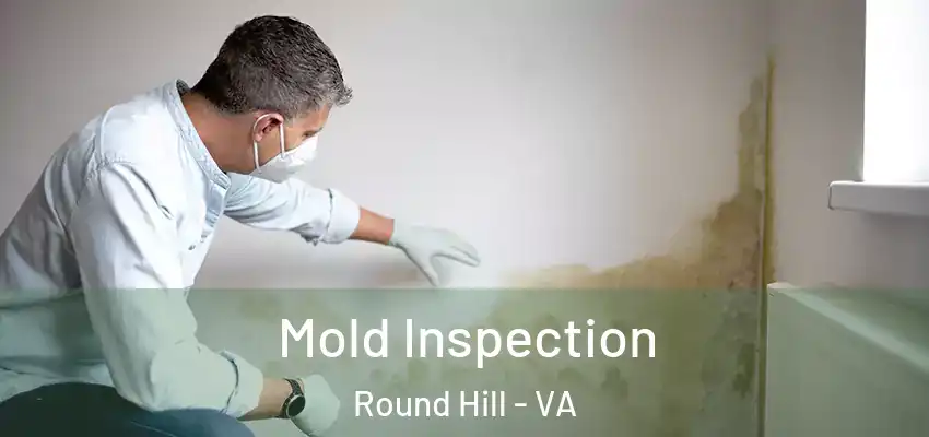 Mold Inspection Round Hill - VA