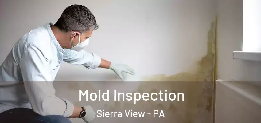  Mold Inspection Sierra View - PA
