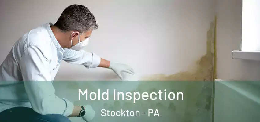 Mold Inspection Stockton - PA