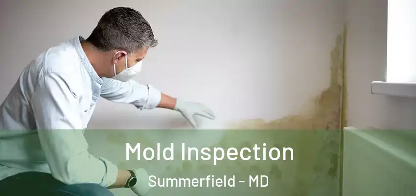 Mold Inspection Summerfield - MD