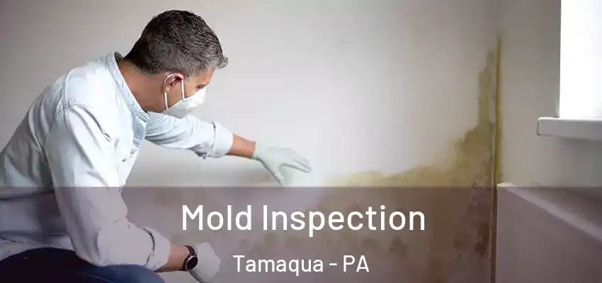  Mold Inspection Tamaqua - PA