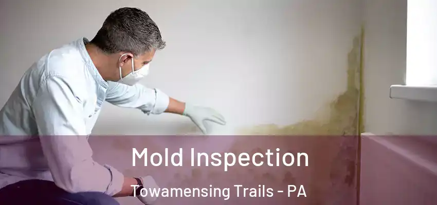 Mold Inspection Towamensing Trails - PA