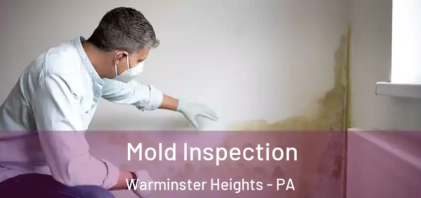 Mold Inspection Warminster Heights - PA