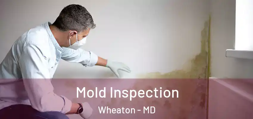  Mold Inspection Wheaton - MD
