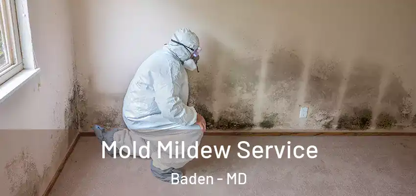Mold Mildew Service Baden - MD