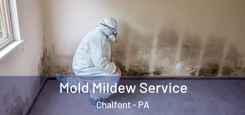  Mold Mildew Service Chalfont - PA