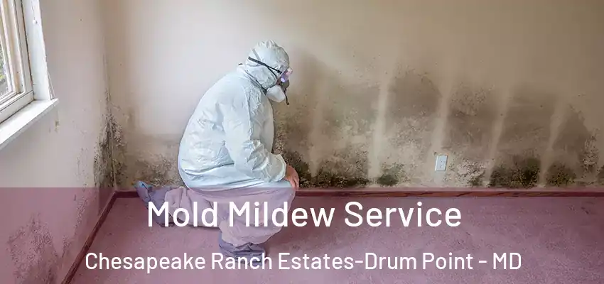  Mold Mildew Service Chesapeake Ranch Estates-Drum Point - MD