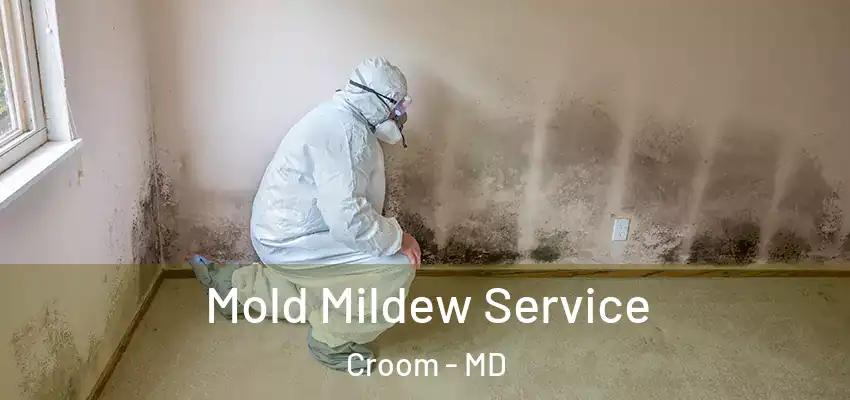Mold Mildew Service Croom - MD