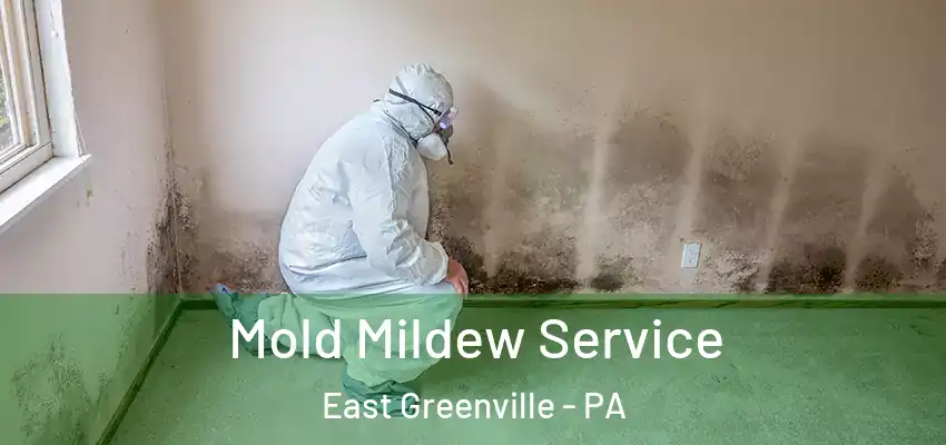 Mold Mildew Service East Greenville - PA