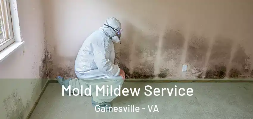 Mold Mildew Service Gainesville - VA