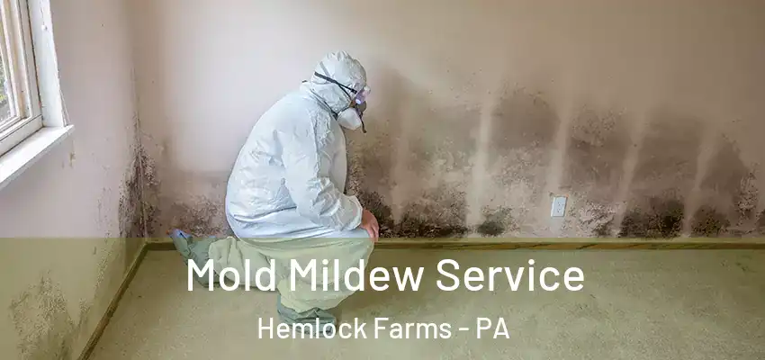 Mold Mildew Service Hemlock Farms - PA
