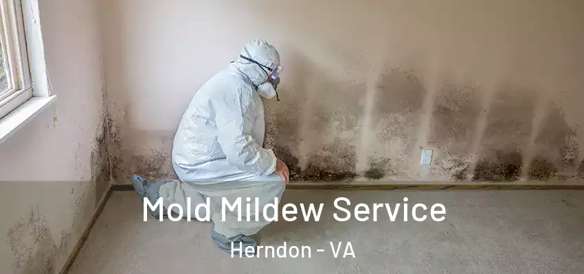  Mold Mildew Service Herndon - VA
