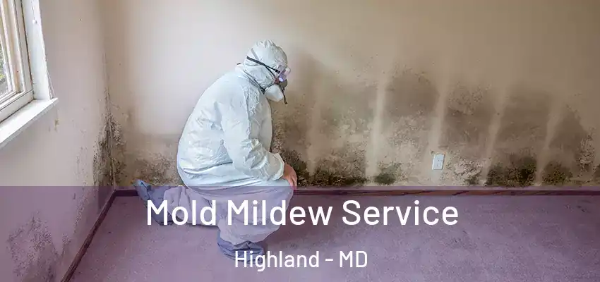 Mold Mildew Service Highland - MD