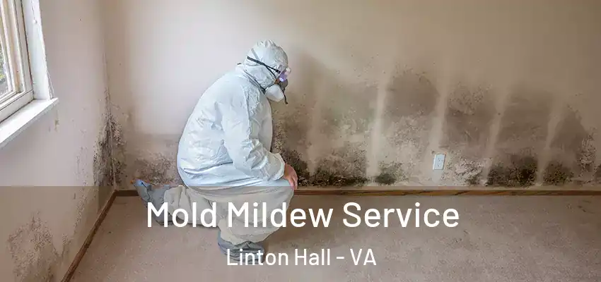  Mold Mildew Service Linton Hall - VA
