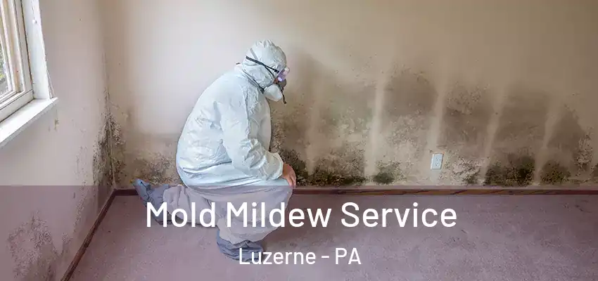  Mold Mildew Service Luzerne - PA