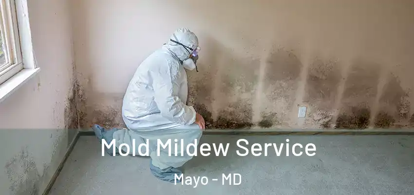 Mold Mildew Service Mayo - MD