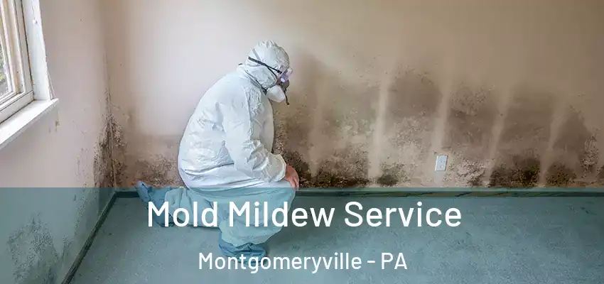 Mold Mildew Service Montgomeryville - PA