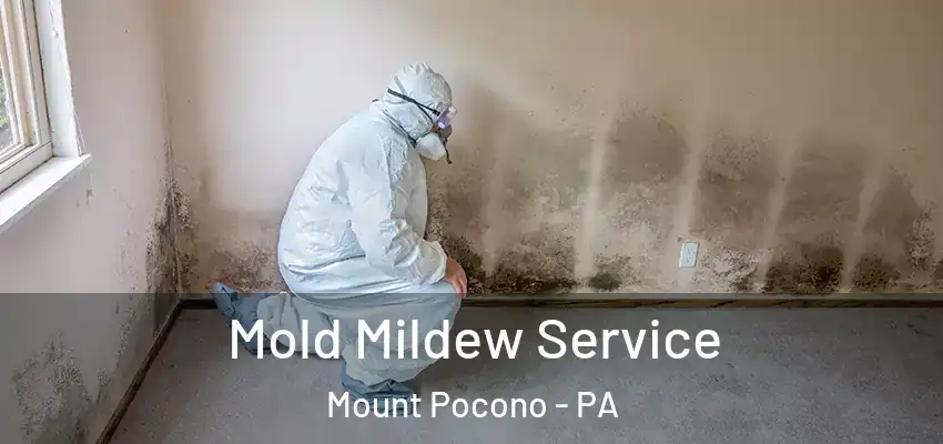 Mold Mildew Service Mount Pocono - PA